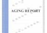 prepare receivable and payable ageing report